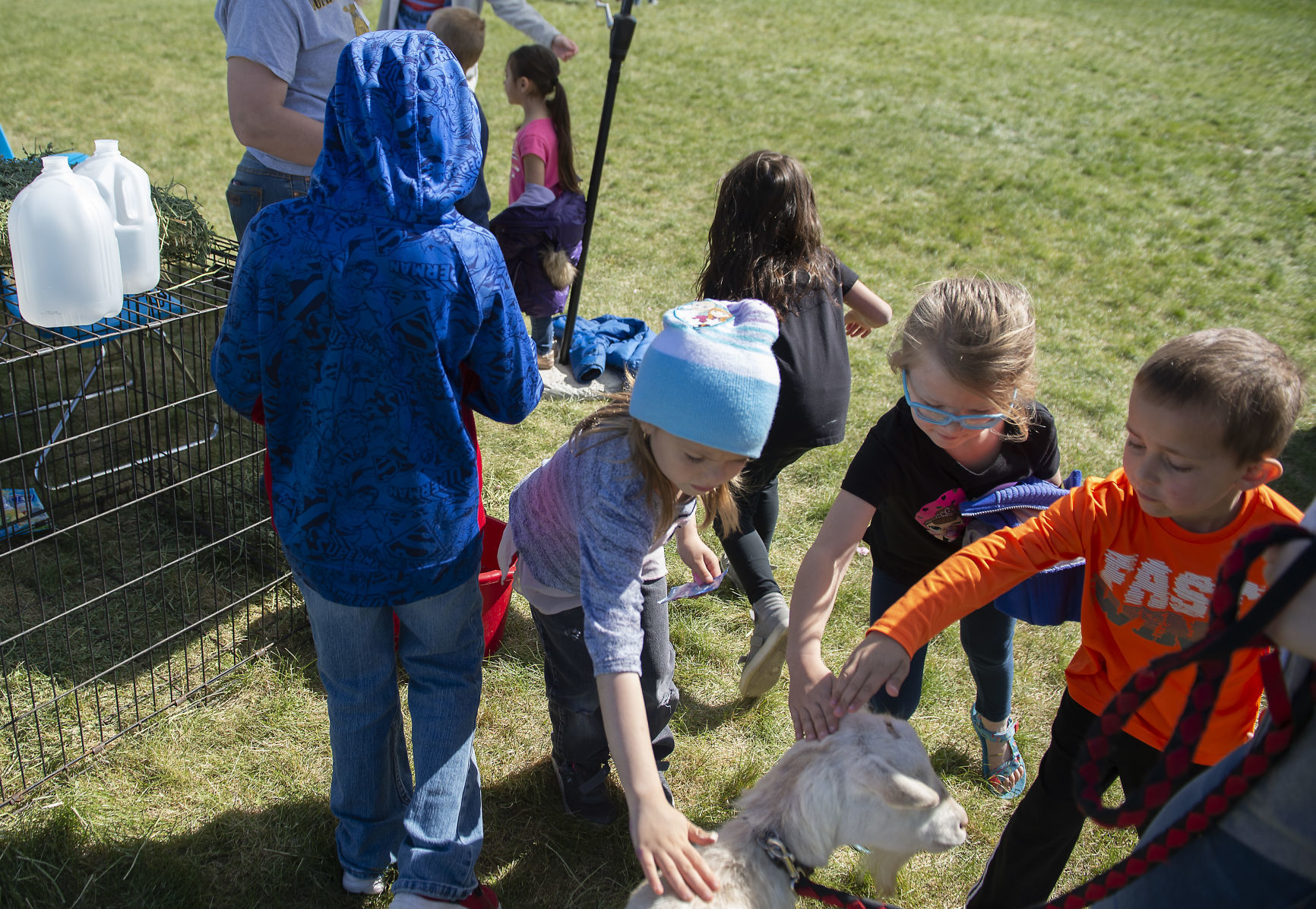 Ag day at I.B. Perrine Elementary